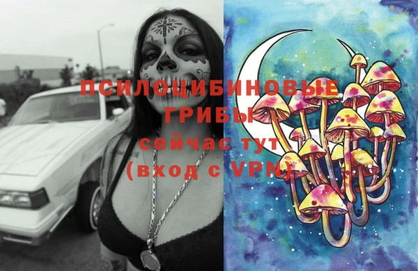 марки nbome Богданович