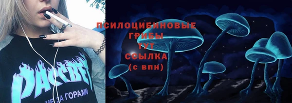 винт Богородск