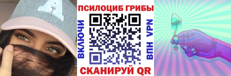купить Константиновск Псилоцибиновые грибы Magic Shrooms