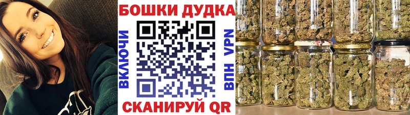 Бошки Шишки план Константиновск
